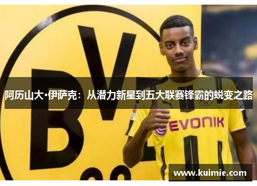 阿历山大·伊萨克：从潜力新星到五大联赛锋霸的蜕变之路